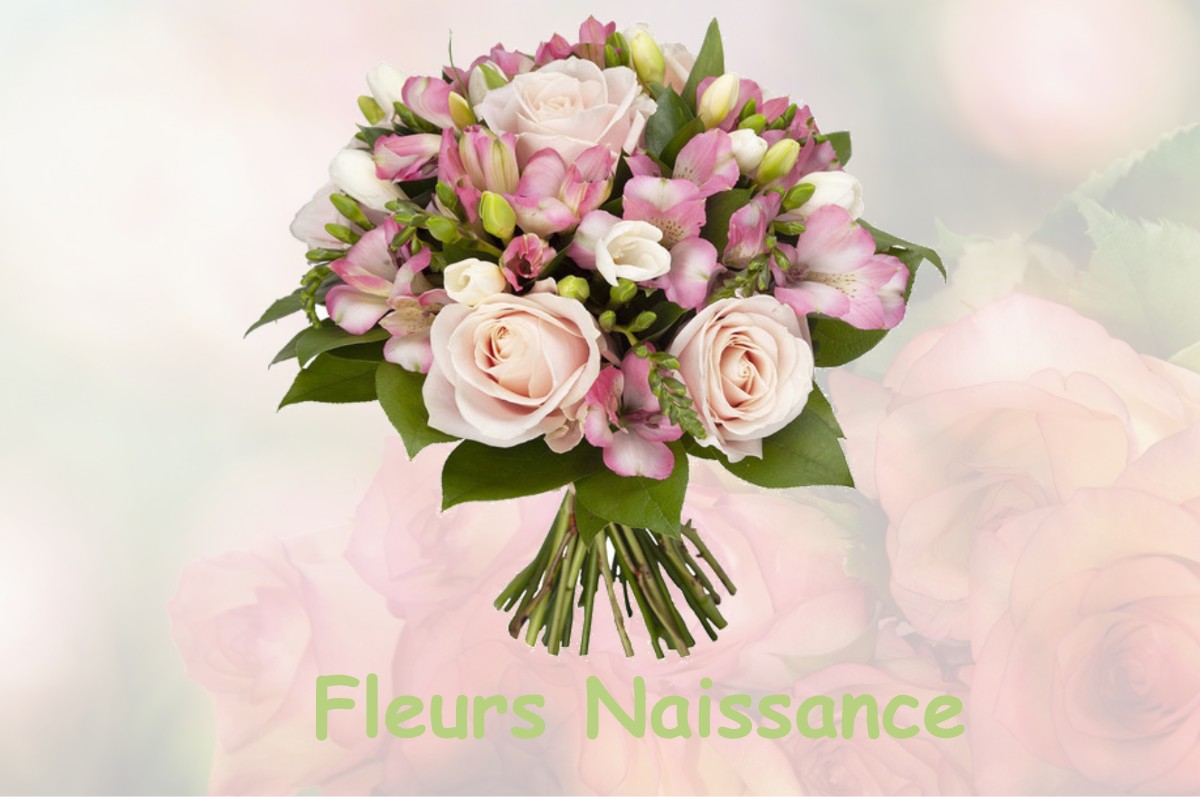 fleurs naissance BELLOC-SAINT-CLAMENS